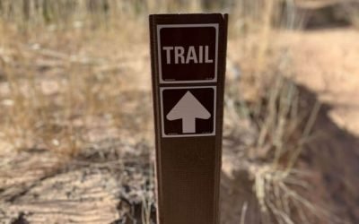 Which Trail Marker Do You Need to Focus On Right Now?