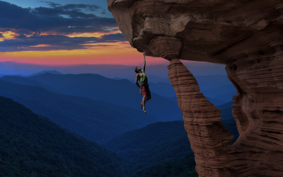 Success Means Going it Alone Right? … not so fast!