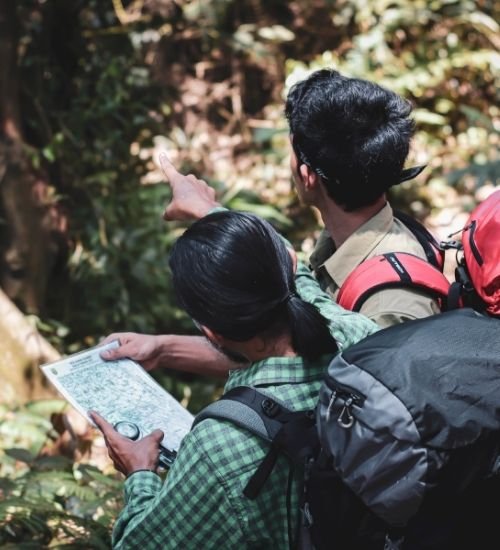 TFL - DISC Companion Guide