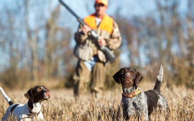 Monday Myth Check: Don’t Hunker Down When Times Get Uncertain