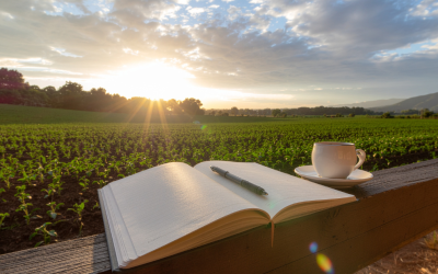 Don’t Just Plan the New Year — Celebrate What Got You Here